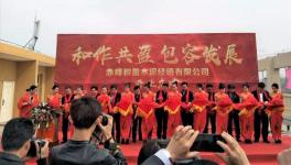 山水集團、寧夏建材等聯(lián)合成立水泥銷售公司!