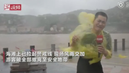 霸王級(jí)臺(tái)風(fēng)席卷多省份!近1000家水泥銷售受影響！  