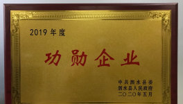 濟(jì)寧中聯(lián)榮獲“2019年度功勛企業(yè)” 榮譽(yù)稱號(hào)
