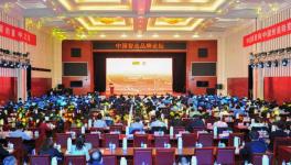 中建材在全球承接379條水泥生產線、市場占有率超過65%！