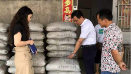 市場上這7個(gè)主要水泥品牌被質(zhì)量抽檢！