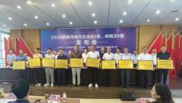 銅陵上峰:連續(xù)9年上榜“地方企業(yè)50強”！