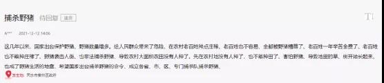 海螺突遇“棘手”問題！ 野豬集體來“做客”！