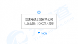 加速收購！海螺水泥在下一盤大棋！