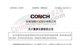 海螺水泥公告：王誠(chéng)不再擔(dān)任公司法定代表人！