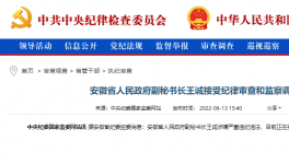 突發(fā)！海螺原董事長被查！