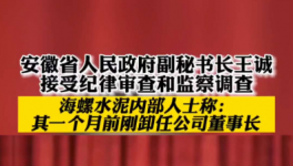 立案！海螺、華新、華潤等多位高管被查！