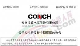 海螺水泥擬發(fā)行不超100億票據(jù)！