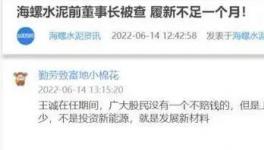 海螺蒸發(fā)1300億，逾700億元投資或存變數(shù)！