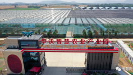 巧用水泥余熱，工業(yè)轉(zhuǎn)型反哺農(nóng)業(yè)！