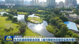 環(huán)保政策加嚴(yán)！氨逃逸不超標(biāo)這些企業(yè)做到了！