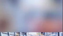 殺公雞！開窯！水泥廠“辟邪”！