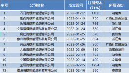瘋狂！海螺成立96家“能源”公司！