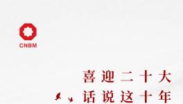 喜迎二十大:話說這十年，專業(yè)化整合深入推進 產業(yè)布局不斷優(yōu)化