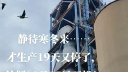 全停！最長200天！20個省水泥廠停產(chǎn)！