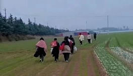 反撲！多省工地停工！水泥廠停發(fā)！商混站“告急”！