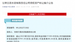 公告！多家水泥廠被賣！