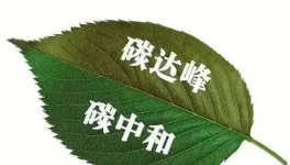 縫出匠心！這家環(huán)保企業(yè)脫穎而出！市場(chǎng)占有率名列前茅！