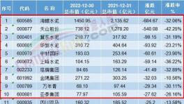 重磅！十大“最慘”水泥廠發(fā)布！