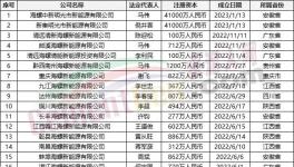 瘋狂！“上下”通吃！海螺連續(xù)成立50多家公司！