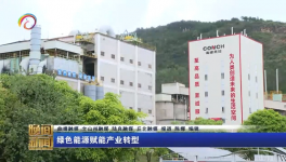 海螺水泥兩家工廠同一天都上電視啦！
